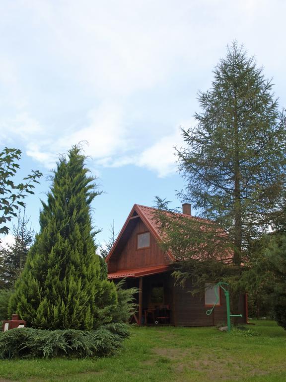 Domki Letniskowe I Caloroczne W Kopalinie Kopalino Exterior photo